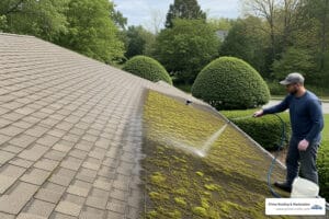eco friendly roof cleaner