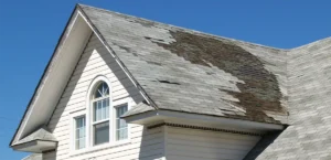 restoration services near me